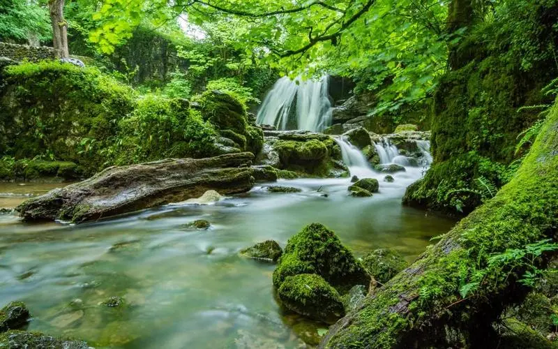 智能绿色高端